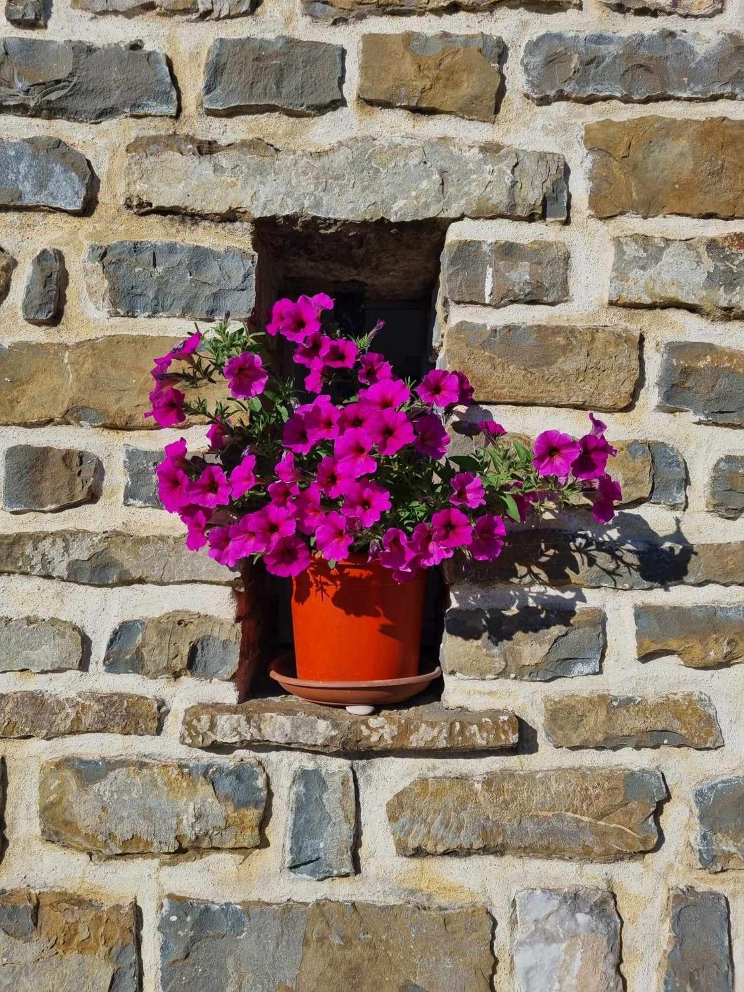 Gite Les Trois Abeilles Bésignan Exterior foto